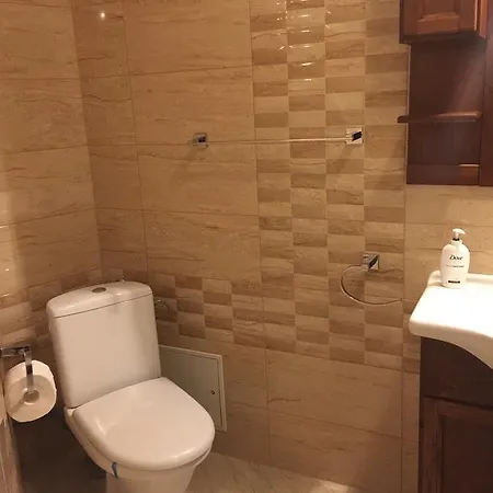 卡萨门捷列夫酒店 公寓 布加勒斯特