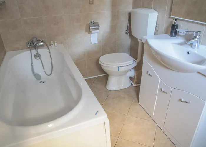 公寓 卡萨门捷列夫酒店 *