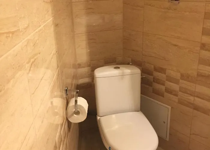 卡萨门捷列夫酒店 公寓 *